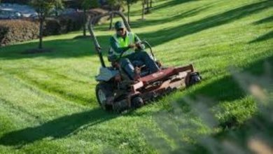 Commercial Lawn Care Services: A Comprehensive Overview​