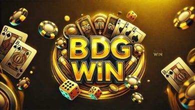 Bdgwin: An In-Depth Look at the Skill-Based Gaming Platform