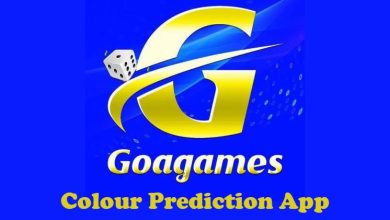 Goa Game: A Refreshing Platform for Interactive Fun