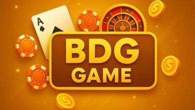 BDG Game: How to Compete Globally