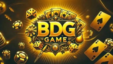 BDG Game Login: Best Practices for Users