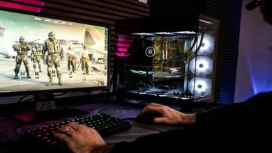 Online Gaming and the New Play Culture