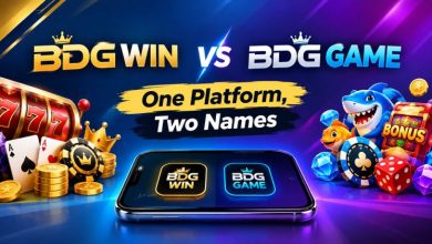 BDG Win vs BDG Game: One Platform, Two Names